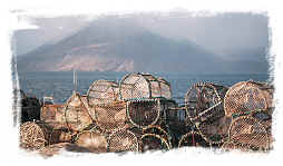 Creelers menu uses only the freshest of ingredients such as shellfish and seafood straight from the crystal clear waters of Skye and Lochalsh